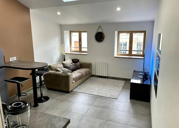 Joli Appartement T2 Saint Laurent Sur Saone