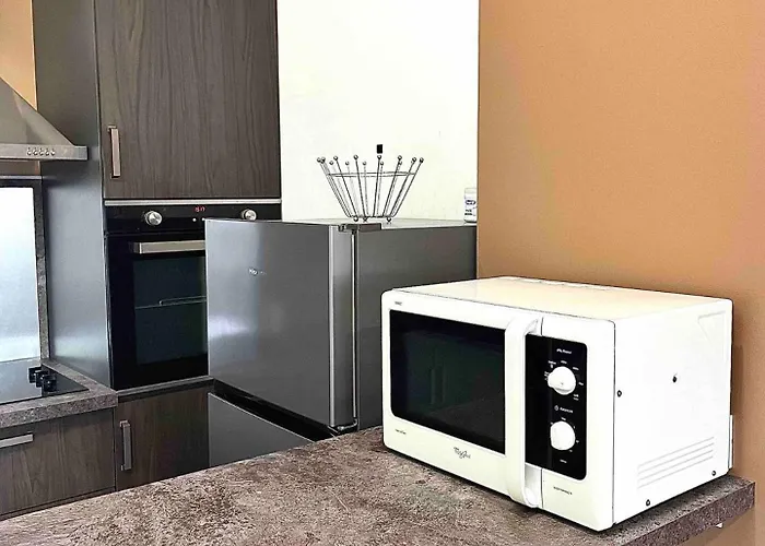 Joli Appartement T2 Saint Laurent Sur Saone